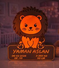 ASLAN FİGÜRLÜ İSME ÖZEL GECE LAMBASI